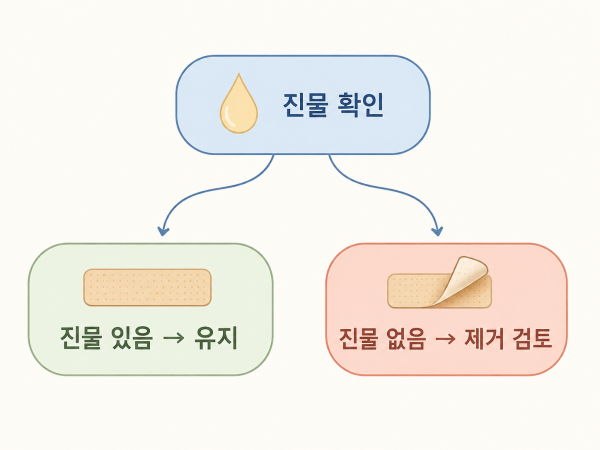 진물이 기준 / 멎으면 검토 - 진주점제거 | 미미썸의원 진주점